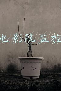 电影院监控一般能保存多长时间(三亚规定：海鲜店监控视频至少保存30天！使用四面镂空筐称重)