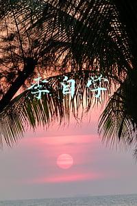 李自学