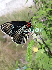 广汽aion