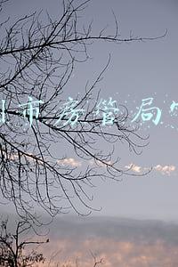 广州市房管局官网电话号码(广州不动产个人名下房产查询页面故障影响公办小学报名？回应来了)