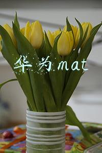 华为mat