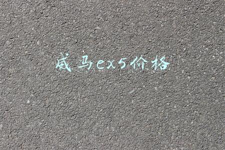 威马ex5价格