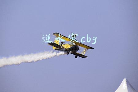 cbg梦幻站(梦幻西游2021年度最大BUG被修复：偷天换日的“专用无级别”)