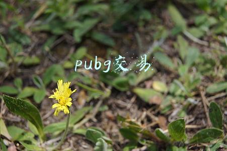 pubg交易市场在哪(如果绝地求生开放市场交易怎样？对游戏玩家有什么好处和坏处吗？)