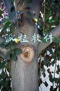 派拉软件上市(以身份安全为基础，联动应用安全、数据安全，「派拉软件」帮助企业建立多层次安全能力)