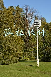 派拉软件