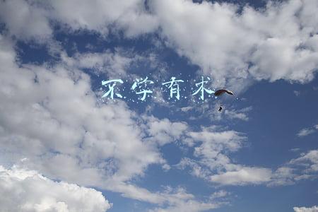 不学有术
