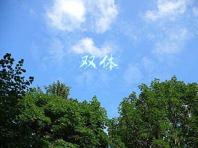 双体系平台登录(中共中央办公厅 国务院办公厅印发《乡村建设行动实施方案》)
