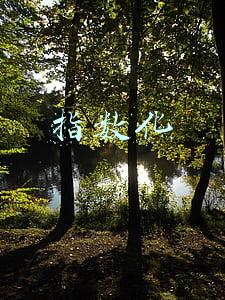 指数化月平均工资指什么(江苏省养老金计算解析（2）)