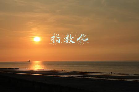 指数化