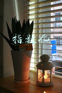 指数化