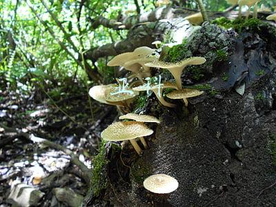 亚科油水分离器官网(机电安装材料设备参考品牌表)