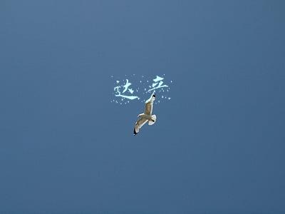 达产和投产的区别(工信部：加快“新基建”推动在建项目尽快投产达产)