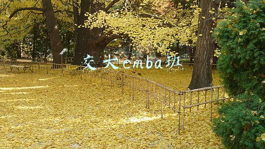 交大emba班