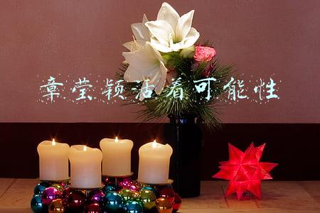 章莹颖(章莹颖赴美惨遭杀害，4年过去尸骨仍下落不明，父母至今没放弃)