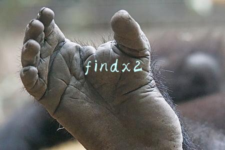 findx2