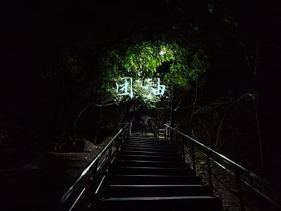 团油