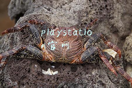 playstation官网