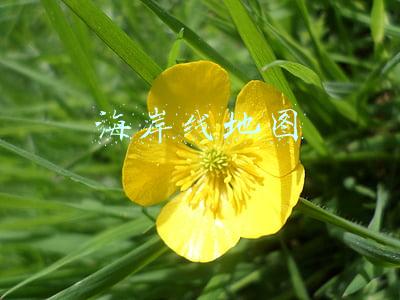 海岸线地图