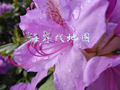 海岸线地图