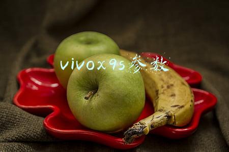 vivox9s参数