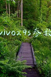 vivox9s参数