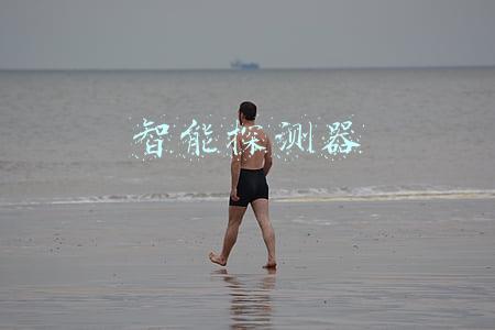 智能探测器