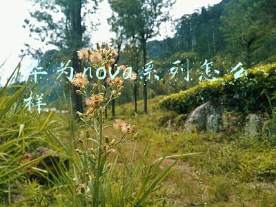 华为nova系列怎么样
