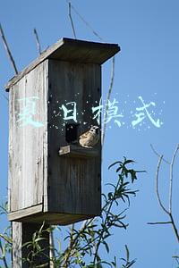 夏日模式