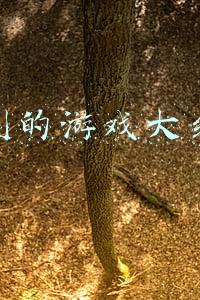 权力的游戏大结局(权力的游戏大结局是什么 权力的游戏大结局曝光)