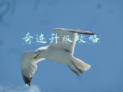 奇迹升级攻略