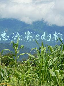 s7总决赛edg输了