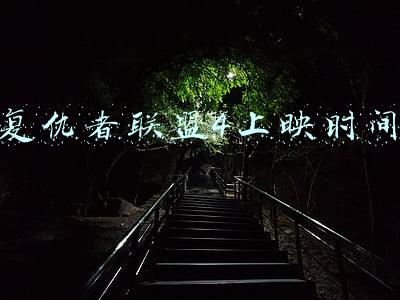 复仇者联盟4上映时间