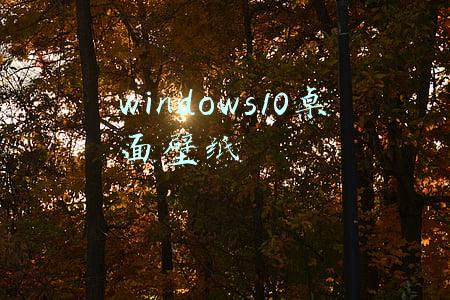 windows10桌面壁纸