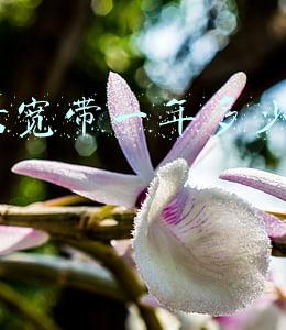 电信宽带一年多少钱2017
