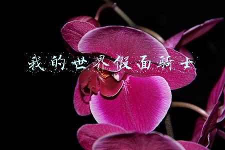 我的世界假面骑士