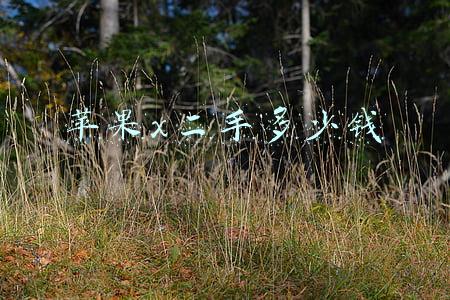 苹果x二手多少钱