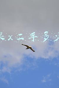 苹果x二手多少钱