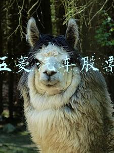 五菱汽车股票为什么不能交易(开盘：恒指高开0.69% 五菱汽车遭315晚会曝光跌2.53%)