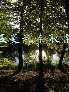 五菱汽车股票