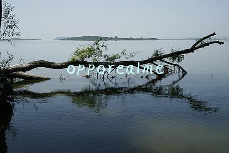 opporealme