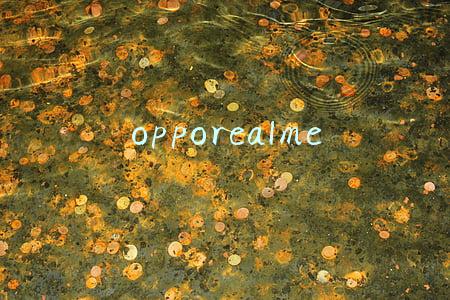 opporealme