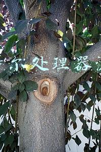 英特尔处理器漏洞