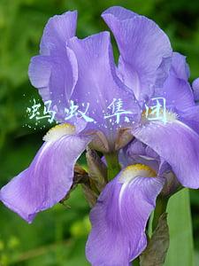 蚂蚁集团最新消息(蚂蚁集团回应首次分红：合理回报股东并增强主要股东资本补充能力)