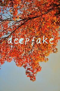 deepfake