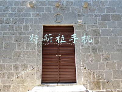 特斯拉手机