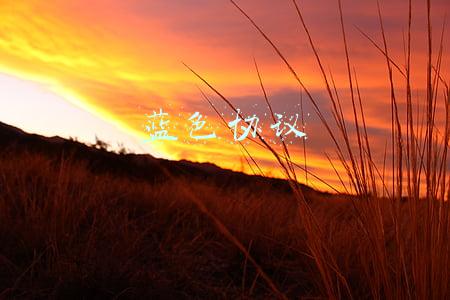 蓝色协议