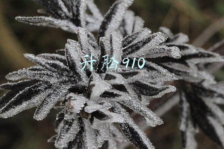 升腾910芯片(华为升腾910芯片干什么的昇腾910是用在哪的 强大性能揭秘)