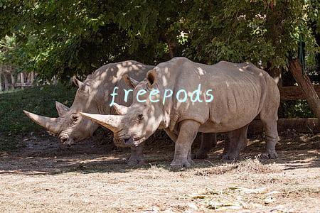 freepods