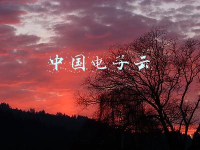 中国电子云